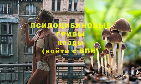 индика Ступино