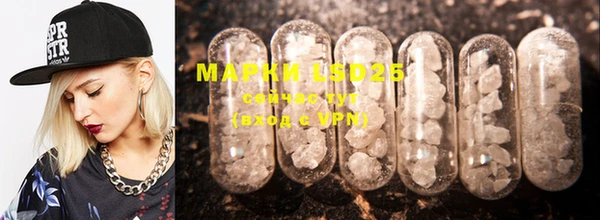 индика Ступино