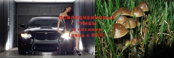 бошки Строитель