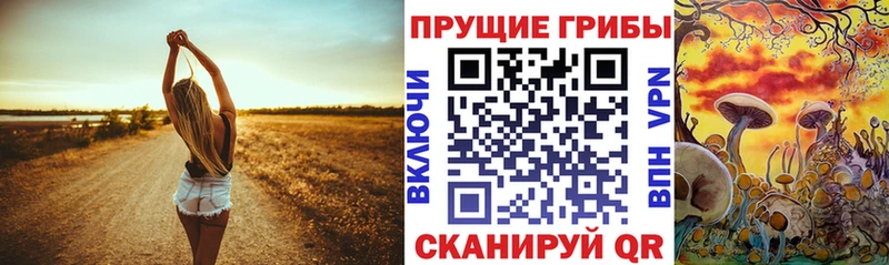 Купить где  Улан-Удэ  Псилоцибиновые грибы MAGIC MUSHROOMS 